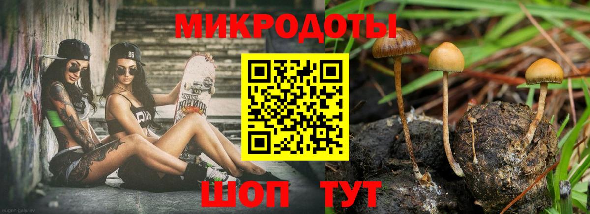 Галлюциногенные грибы прущие грибы  Вход с VPN  Фурманов 