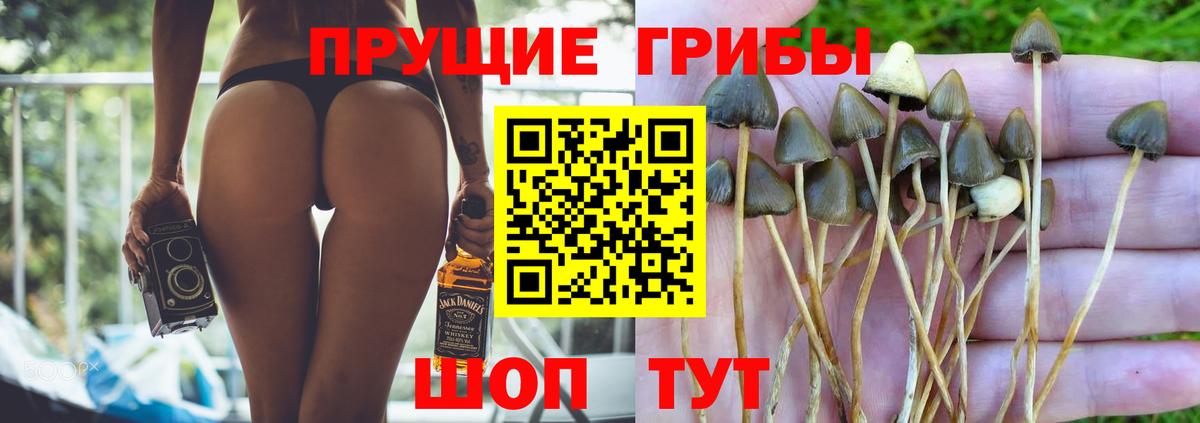 Псилоцибиновые грибы ЛСД Фурманов